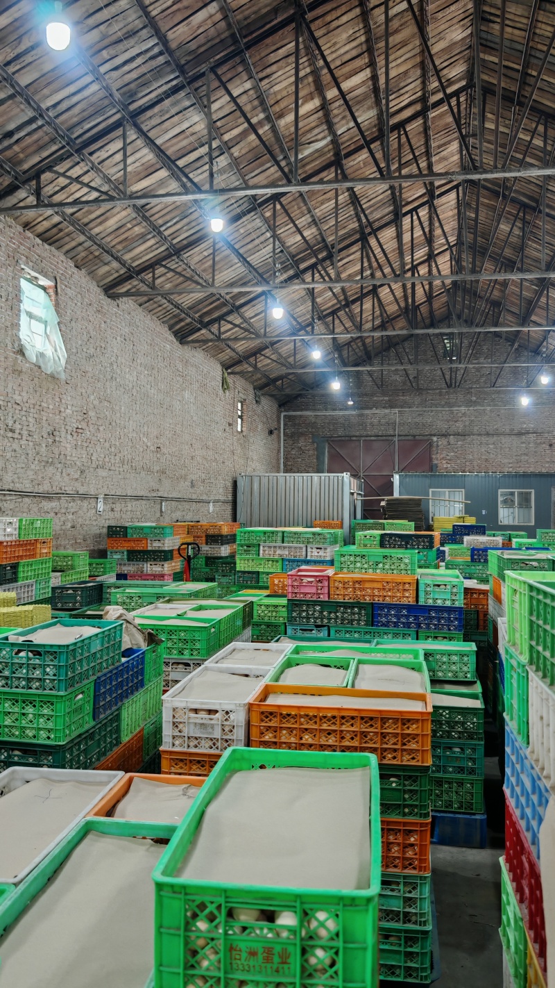 框装散鸡蛋对接全国市场商超精品鲜蛋粉蛋物美价廉