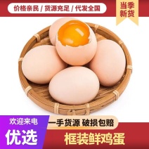 框装散鸡蛋对接全国市场商超精品鲜蛋粉蛋物美价廉