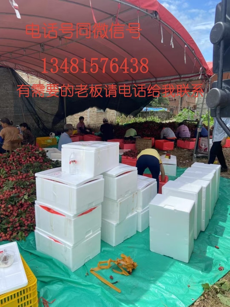 诚信代办代收广西桂平麻垌荔枝，仙进奉，桂味，情人荔