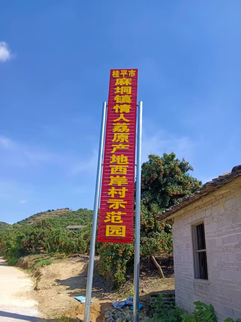 广西荔枝仙进奉情人荔