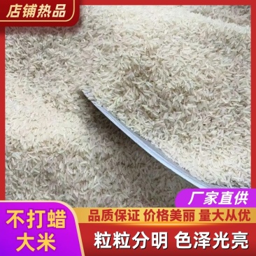 四川农家不打蜡大米不抛光不打蜡不掺杂粮油作物