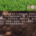 紫花苜蓿厂家货源批发价格全国发货价格便宜欢迎下单咨询