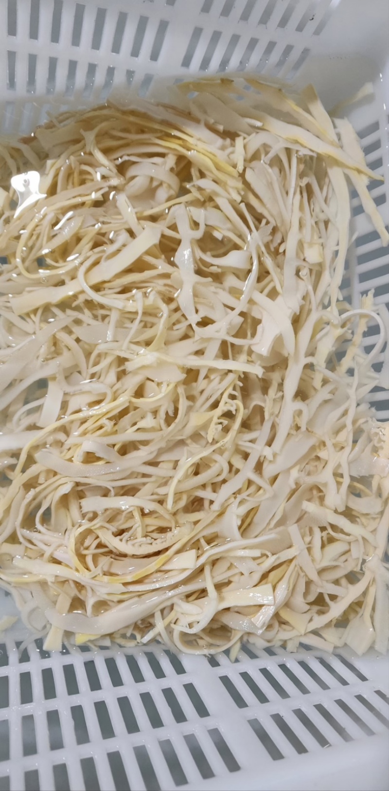 笋丝