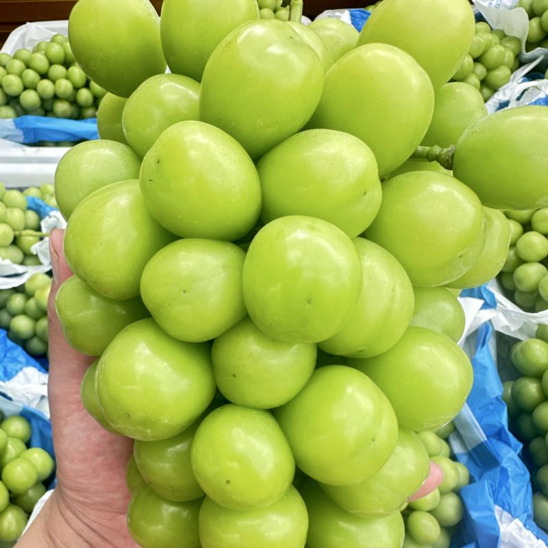 大量上市需要的老板联系