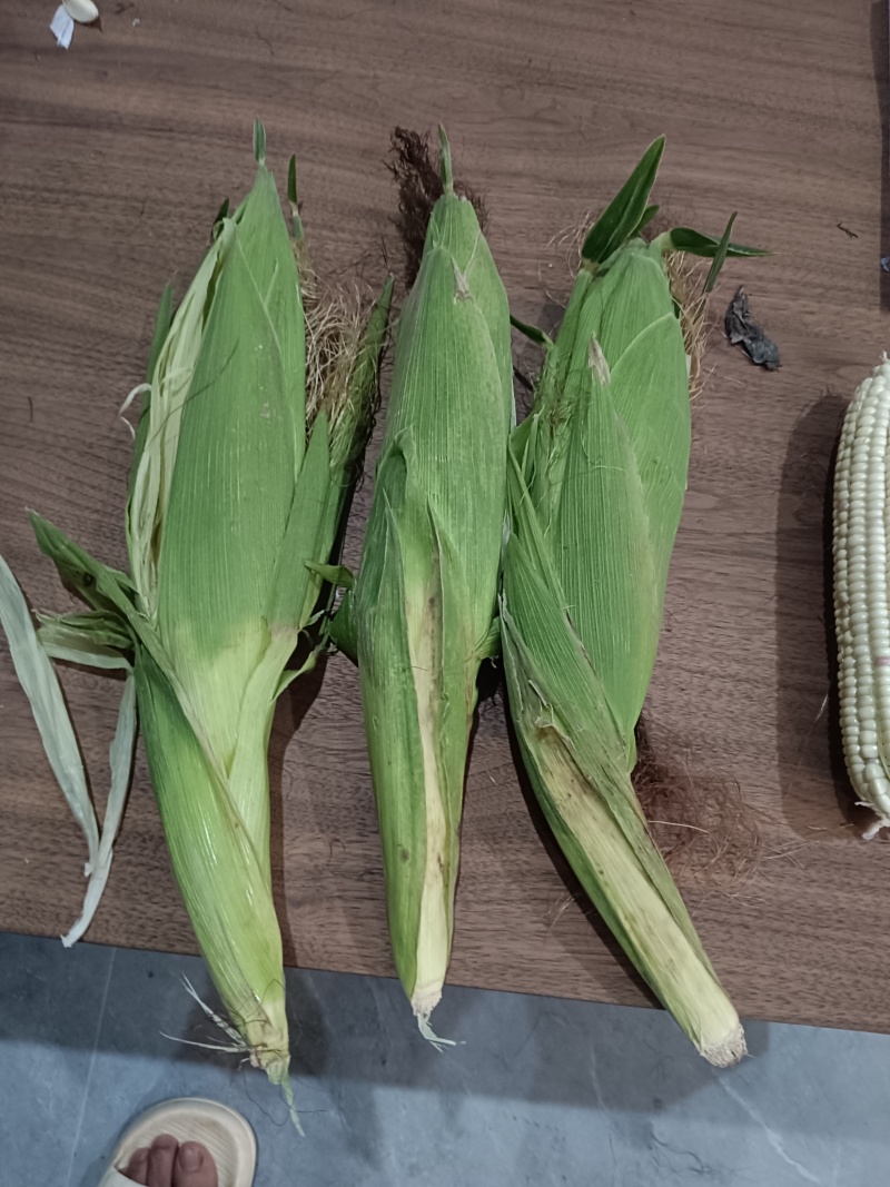 鲜玉米