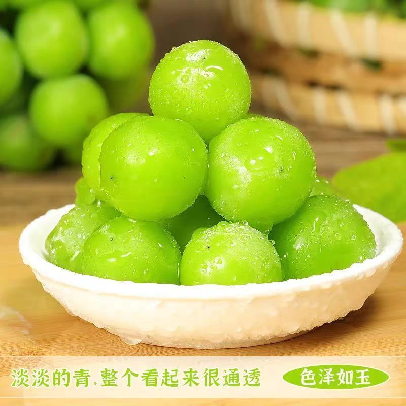 阳光玫瑰，产地一手货源，量大优惠，欢迎新老客户前来合作