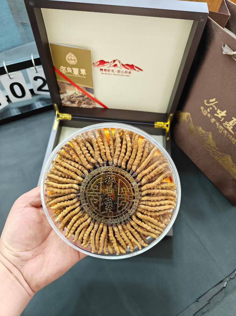 青海野生冬虫夏草，批发零售，保质保量。