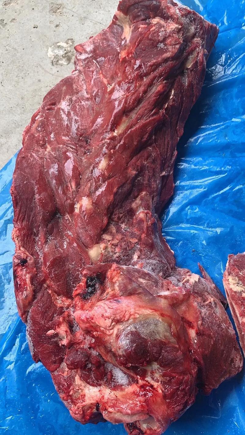 一首货源，满肉牛脖骨，价格，品质，质量，可样品
