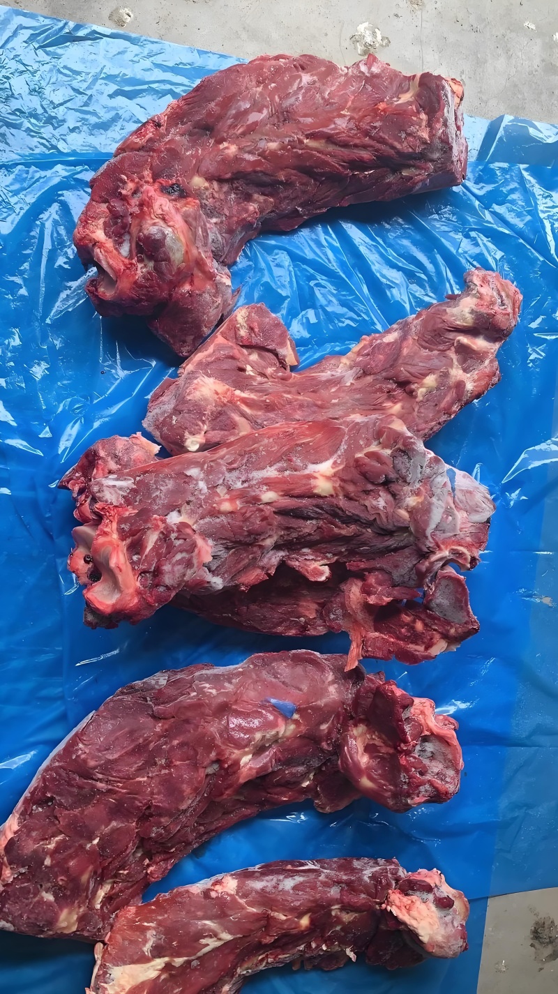 一首货源，满肉牛脖骨，价格，品质，质量，可样品