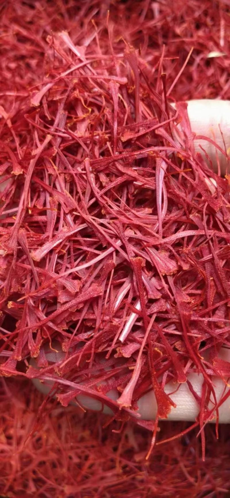 西藏藏红花，保质保量