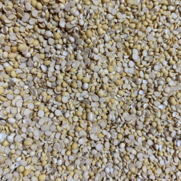 碎黄豆瓣养殖饲料上地施肥