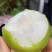 苍溪脆冠梨🍐大量上👏👏👏👏👏市