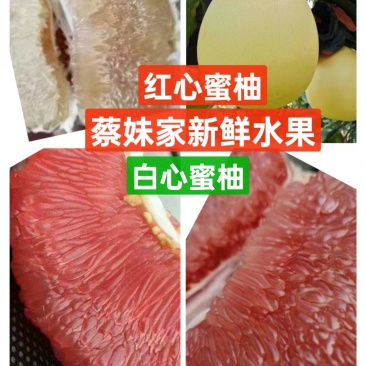 优质红心蜜柚白心柚对接社区团购电商平台超市供应链