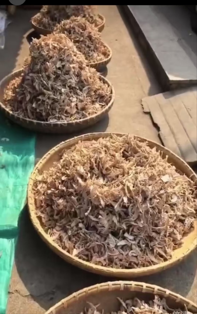 安徽精品切片毛竹笋干产地直销可视频看货