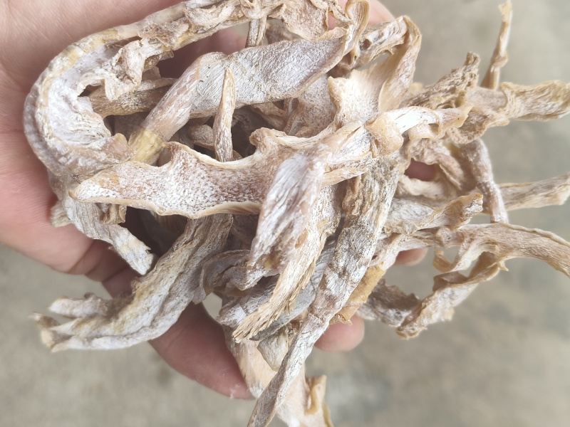安徽精品切片毛竹笋干产地直销可视频看货