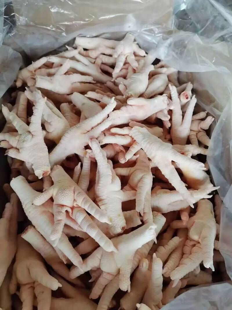 鸡爪规格齐全质量好常年有货