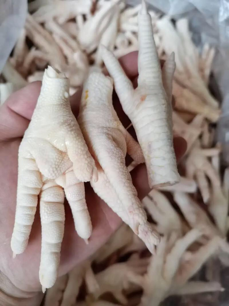 鸡爪规格齐全质量好常年有货