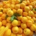 《辽宁油桃》中油8号/绥中县中油8号/一件代发日供应2万
