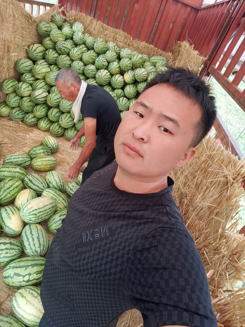 金花金城产地直供，货源充足，欢迎新老顾客咨询