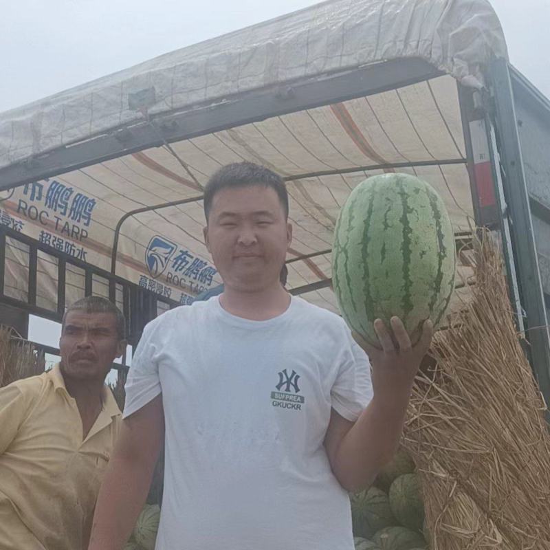 金花六号大量上市中，产地直供，欢迎咨询