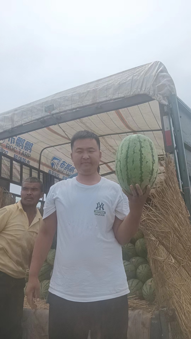 金花六号大量上市中，产地直供，欢迎咨询