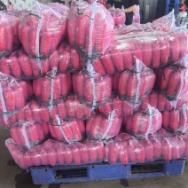 精品红皮萝卜支持市场平台