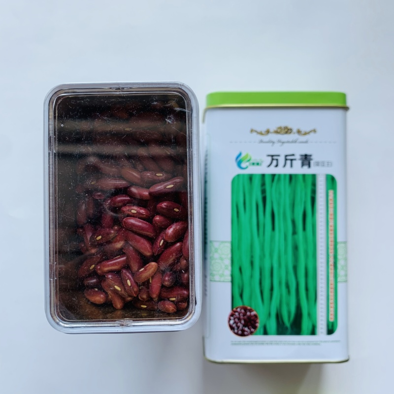 改良万斤青架豆王种子升级泰国无筋豆种籽抗黄枯萎病四季豆