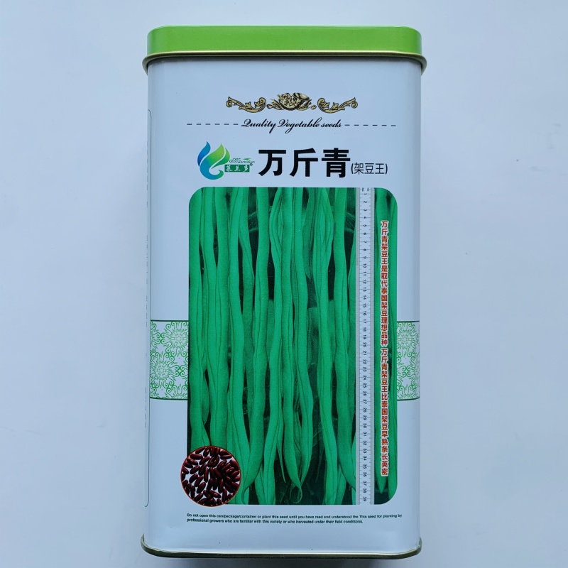 改良万斤青架豆王种子升级泰国无筋豆种籽抗黄枯萎病四季豆