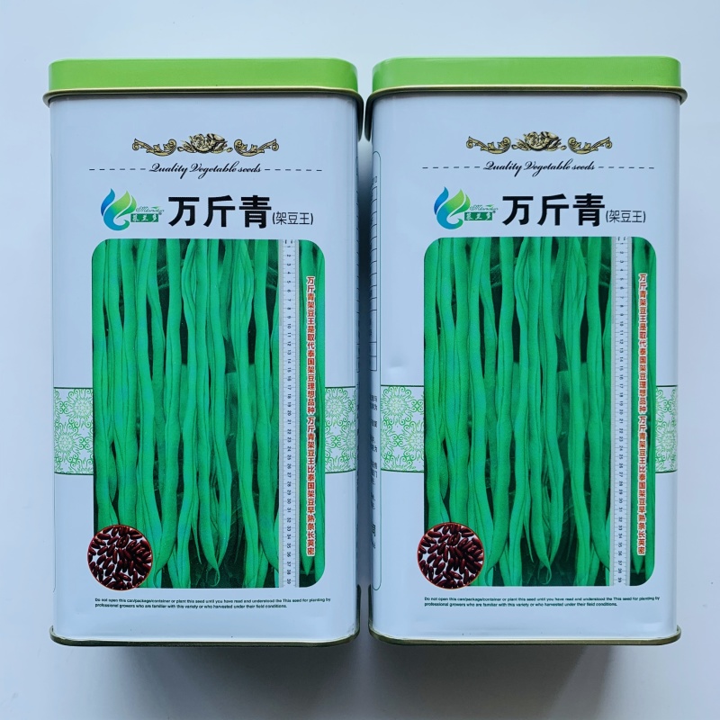 改良万斤青架豆王种子升级泰国无筋豆种籽抗黄枯萎病四季豆