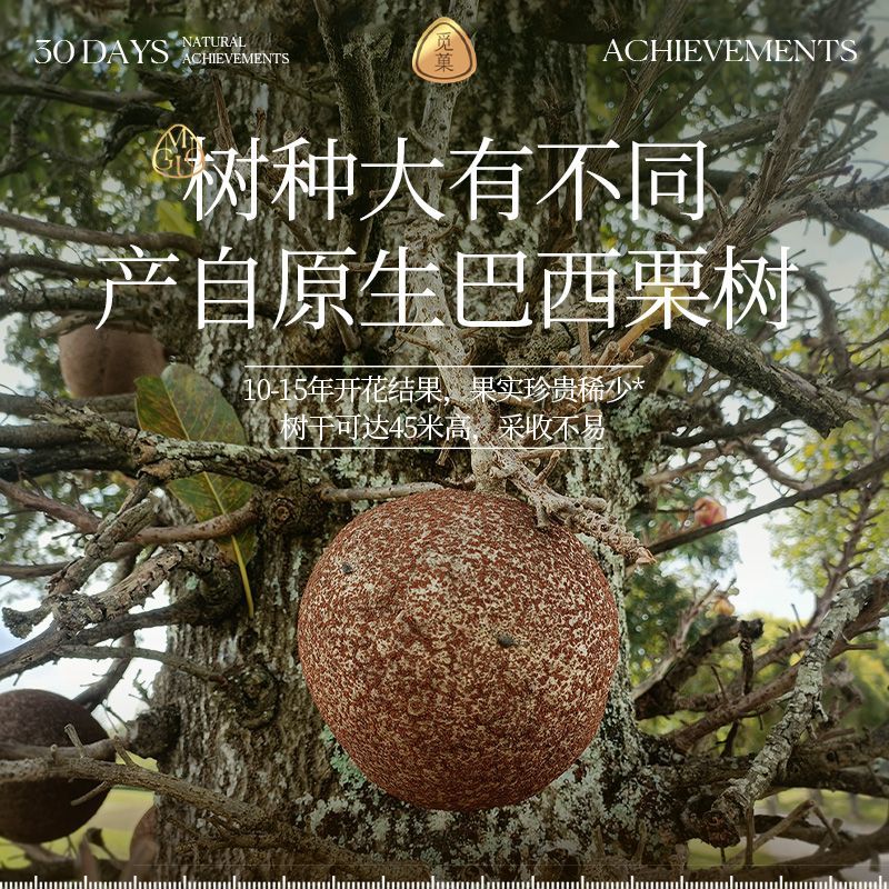 觅菓富硒补硒特大颗粒巴西坚果268g罐装原味坚果孕妇硒元