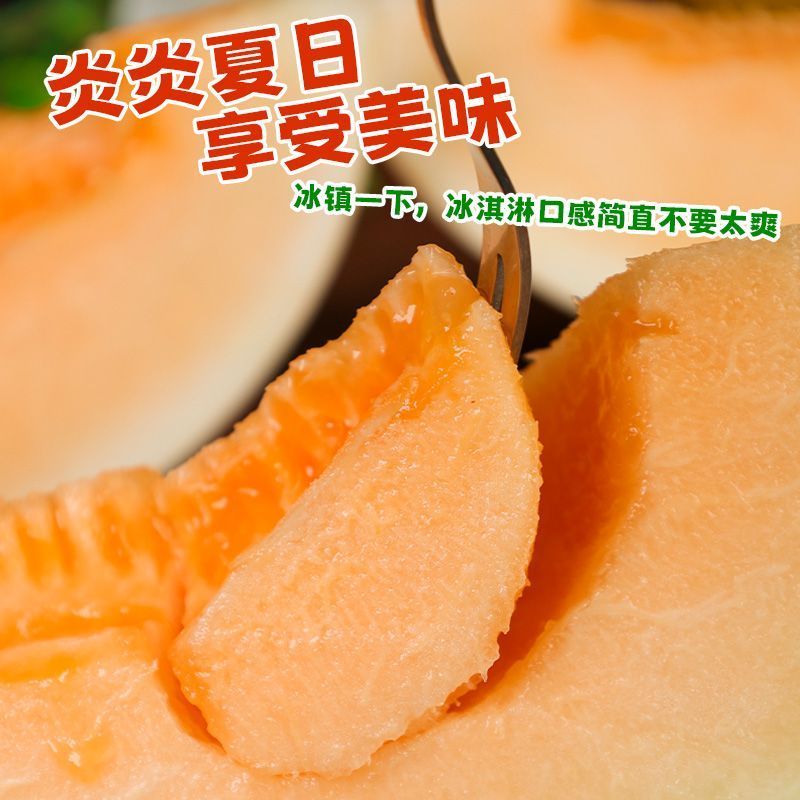 甘肃红金宝蜜瓜产地直发，品质保证，量大从优，欢迎选购