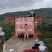 翠冠梨