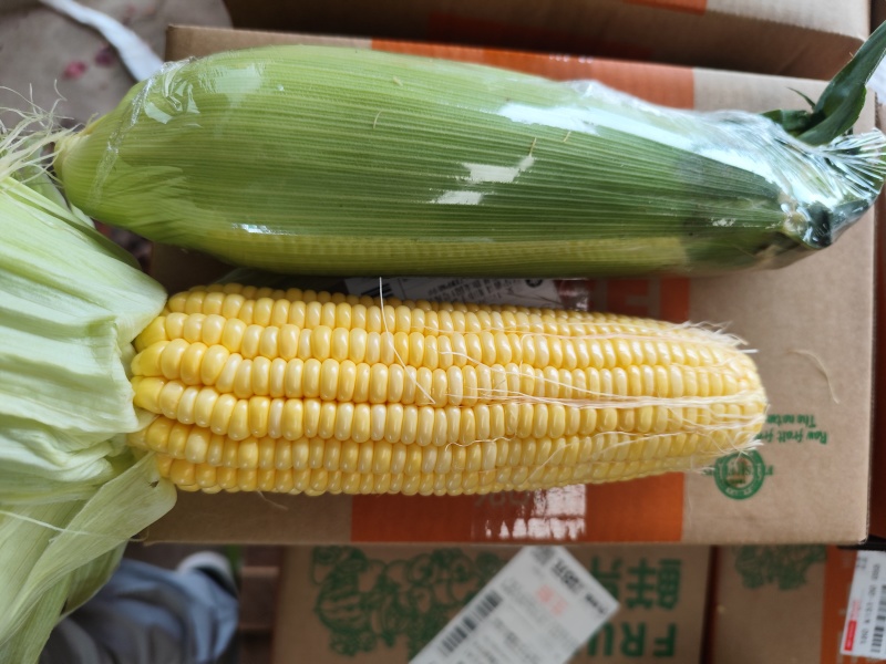 甜脆玉米，太阳花，花超，电商货一件代发。市场货整车供应。