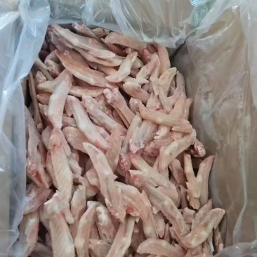 单冻鸭翅尖现货低价出售