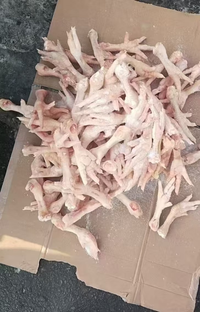 东北多种规格鸡爪，单冻板冻，量大从优，欢迎咨询