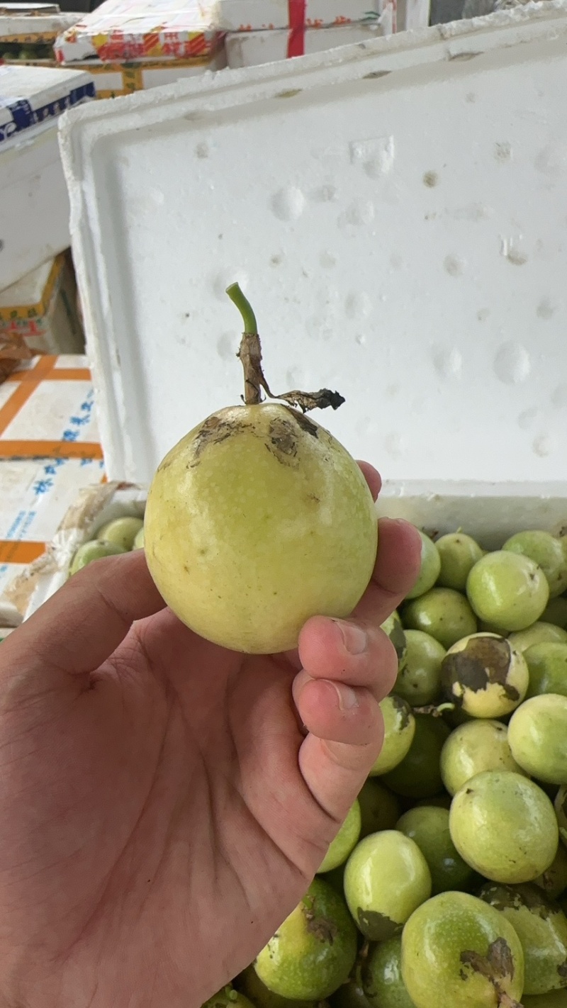 百香果，老苗果电商货