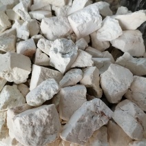 【优选】茯苓块茯苓坨纯无硫的一手货源欢迎来电咨询