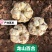 湖南龙山鲜百合