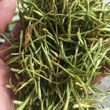 贵州深山野生金银花自然凉干安全无硫当季新货