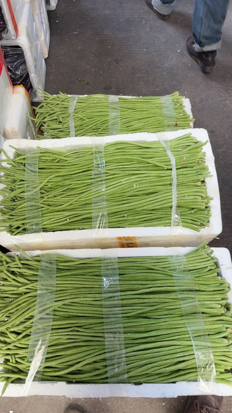 长豆角，丽水精品缸豆，新鲜刚刚上市，60公分长