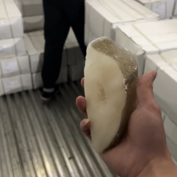 比目鱼块鸦片鱼鲽鱼肉海鱼宝宝辅食肉嫩无碎刺