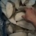比目鱼块鸦片鱼鲽鱼肉海鱼宝宝辅食肉嫩无碎刺