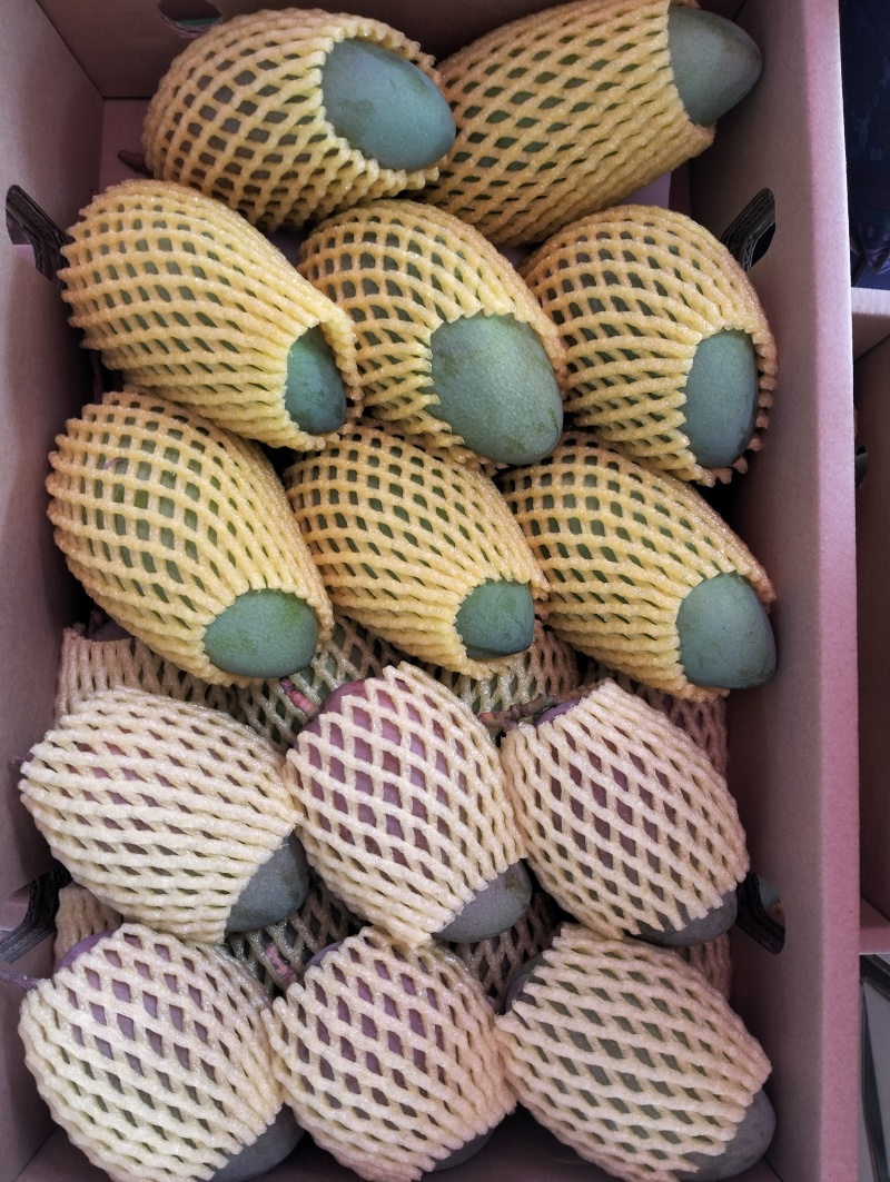 广西百色芒果