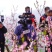 甘肃省天水市秦安县.刘坪镇万亩桃园基地