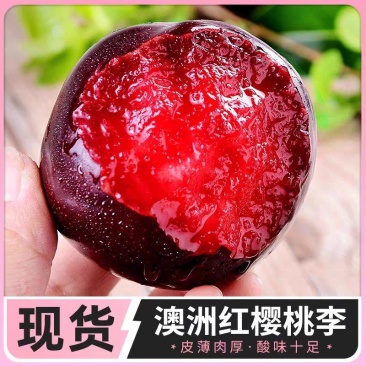 李子.澳洲红.八宝丹口感崔甜.个头均匀对接批发市场电商