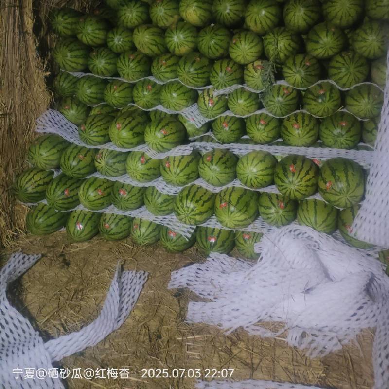 香甜可口多汁的石头瓜上市了