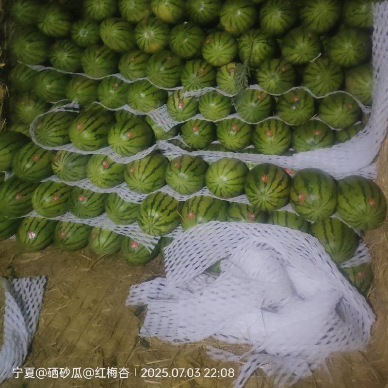 香甜可口多汁的石头瓜上市了