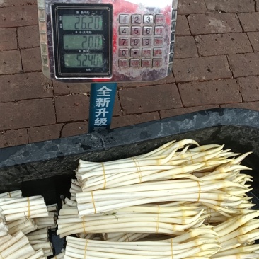 藕带
