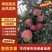 (精选苹果))鲁丽苹果,色泽艳丽,口感甜脆,产地直发。