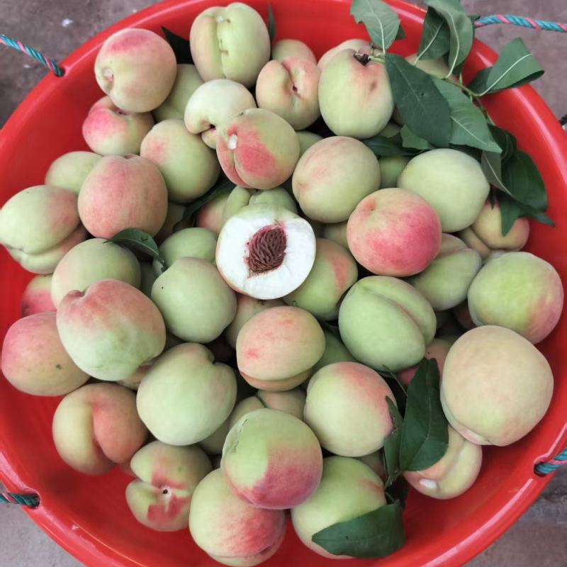 皮球桃